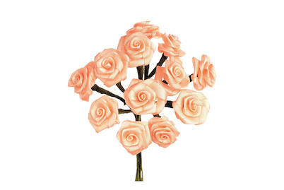 Image of Diorröschen 12 Blüten coral SB-Ausführung bei JUMBO