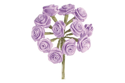 Image of Diorröschen 12 Blüten lila SB-Ausführung bei JUMBO