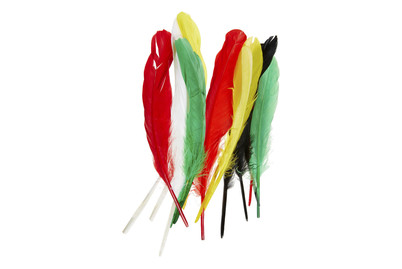 Image of Indianerfeder 16 cm ca. 15 St mix bei JUMBO