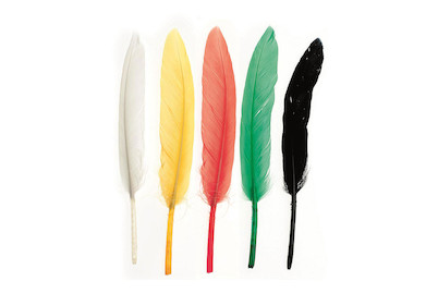 Image of Indianerfeder 13 cm ca .15 St mix bei JUMBO