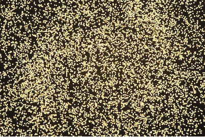 Image of Deko-Effekt-Flitter gold 14 ml bei JUMBO