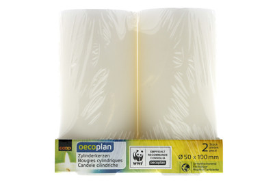 Image of Oecoplan Zylinderkerzen 50x100mm weiss 2 Stück bei JUMBO