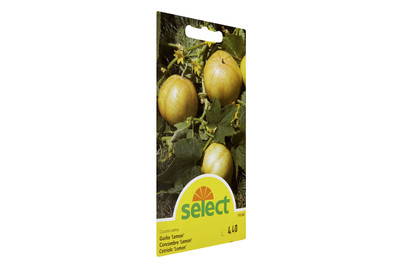 Image of Select Gurke Lemon bei JUMBO