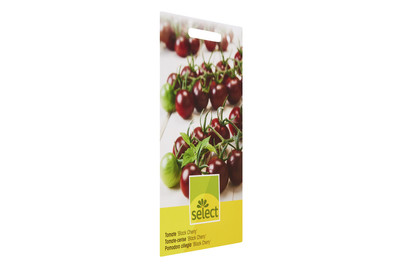 Image of Select Tomate Black Cherry bei JUMBO