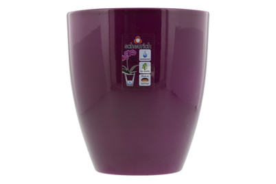 Image of Orchideentopf Pure Ø13cm violett bei JUMBO