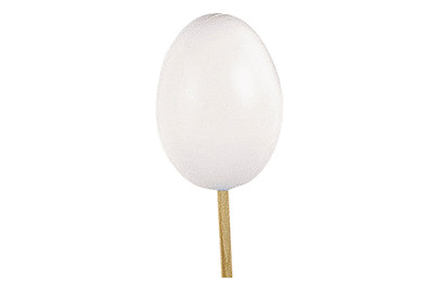 Image of Plastik-Ei, 12x8cm, m. Loch 3mm bei JUMBO