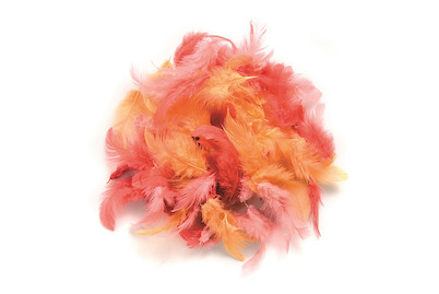 Image of Deco-Federn rot-sortiert 10 g bei JUMBO