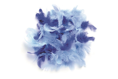 Image of Deco-Federn blau-sortiert 10 g