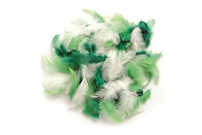 Image of Deco-Federn grün-sortiert 10 g bei JUMBO