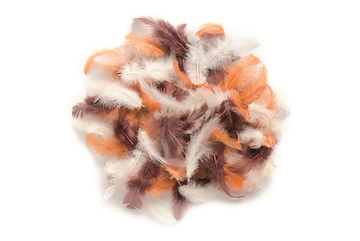 Image of Deco-Federn braun-sortiert 10 g bei JUMBO