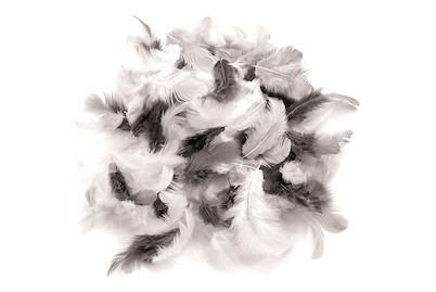 Image of Deco-Federn weiss-schwarz-grau 10 g bei JUMBO