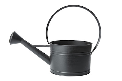 Image of Home and More Deko-Giesskanne Zink 4 l bei JUMBO