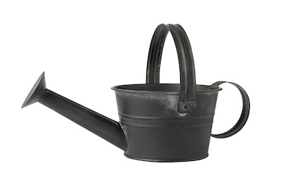 Image of Home and More Deko-Giesskanne Zink 1.25 l bei JUMBO