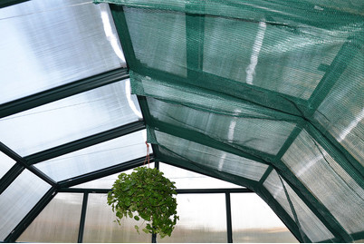 Image of Schattierung Gewächshaus 2.3 x bei JUMBO