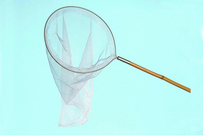 Image of Oase Bambus Fisch-Kescher grob bei JUMBO