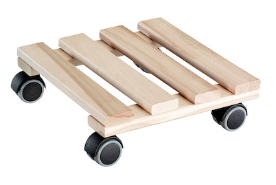 Image of Pflanzenroller Soft Buche 25x25 cm bei JUMBO