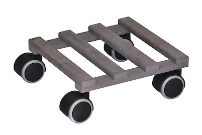 Image of Pflanzenroller Creo Buche 19x19 cm bei JUMBO