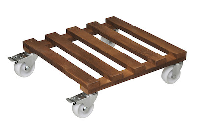 Image of Pflanzenroller Gigant Buche 45x45 cm bei JUMBO