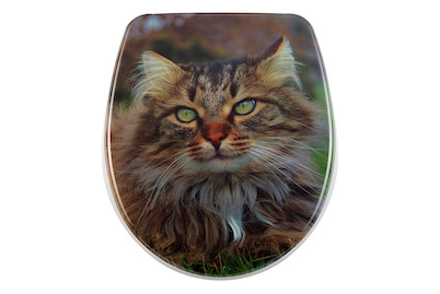 Image of WC-Sitz Nice Slow-Motion Wuschel bei JUMBO