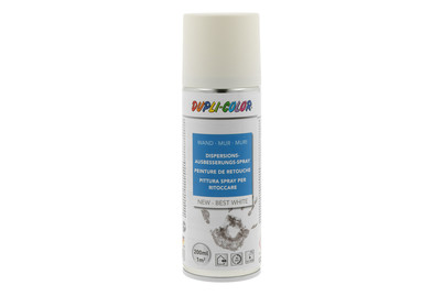 Image of Dupli-Color Dispersionsausbesserungsspray 0.2 l bei JUMBO