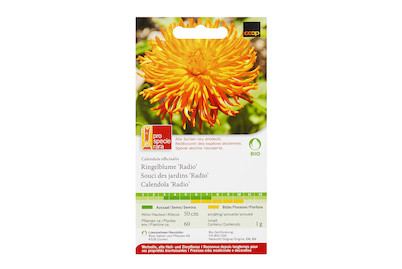 Image of PSR Bio Ringelblume Radio bei JUMBO