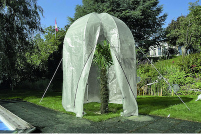 Image of Palmenschutzhaus Roma weiss D200xH275cm bei JUMBO