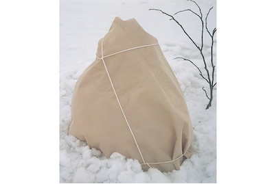 Image of Windhager Winter-Vlies 5 x 1.5 m beige bei JUMBO