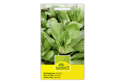 Image of Select Blattstiel-Gemüse Pak Choi bei JUMBO