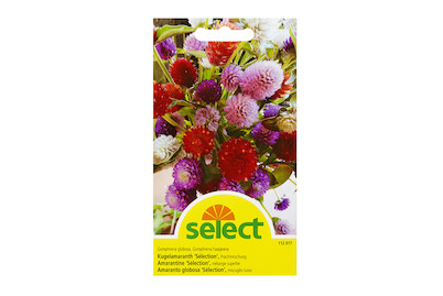 Image of Select Kugelamaranth Sélection bei JUMBO