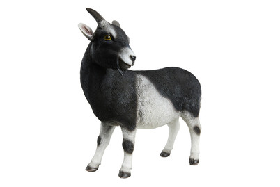 Image of Ziege schwarz weiss H 27 cm bei JUMBO