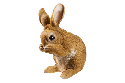 Image of Home and More Kaninchen putzend braun bei JUMBO