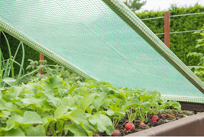 Image of Windhager Gitterfolie Strong 2x3 m bei JUMBO