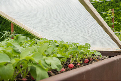 Image of Windhager Gitterfolie 2x3 m bei JUMBO