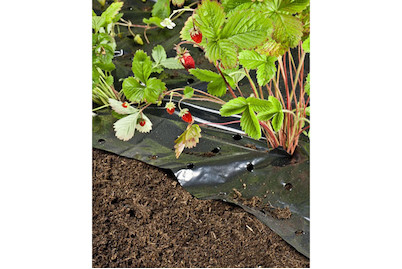 Image of Windhager Unkraut- Erdbeerfolie bei JUMBO