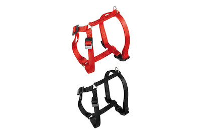 Image of Geschirr Champion rot 10 mm/24-38 cm bei JUMBO