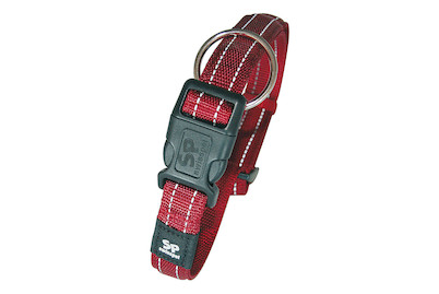 Image of Halsband rot 25 mm/48-70 cm bei JUMBO