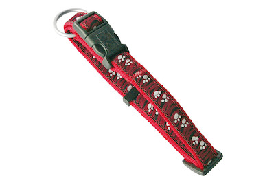 Image of Halsband rot 10 mm/20-33 cm bei JUMBO