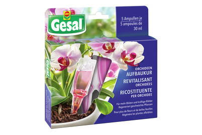 Image of Gesal Orchideen Aufbaukur bei JUMBO