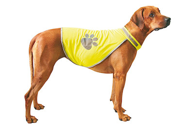 Image of Sicherheitsweste Safety-Dog Gr. L bei JUMBO