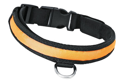 Image of Swisspet Nylon Blink- und Leuchthalsband 25/300-400 bei JUMBO