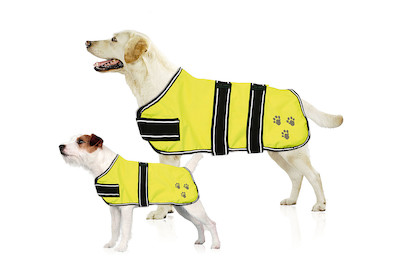 Image of Nightdog Leuchtmantel 70 cm bei JUMBO