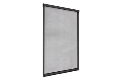 Image of Windhager Insektenschutz Rollo Fenster anthrazit bei JUMBO