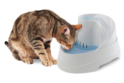 Image of Ferplast Vega Pet Fountain 2L bei JUMBO