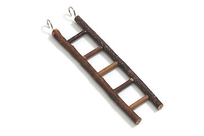 Image of Swisspet Sittichleiter 5 Stufen 26cm bei JUMBO