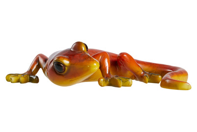 Image of Gecko orange bei JUMBO