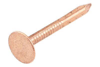 Image of Kupferstift mit Breitkopf 2.5x30 mm bei JUMBO