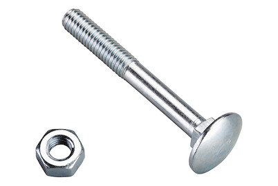 Image of Flachrundschr. verzinkt M6x30 bei JUMBO