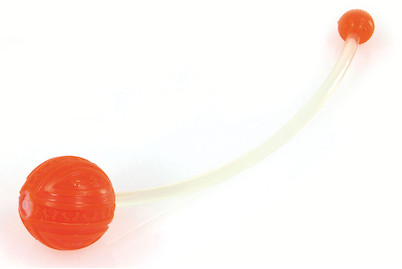 Image of Swisspet Leuchtspielzeug Doppelball bei JUMBO