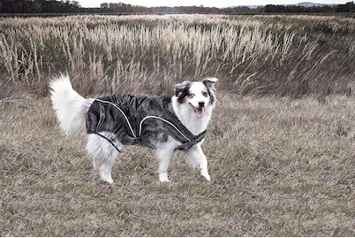 Image of Climaro Winterjacke 35 cm bei JUMBO