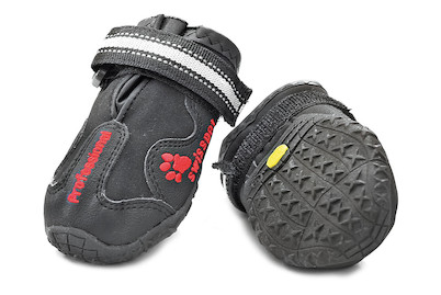 Image of Swisspet Schuhe Professional Gr.6 bei JUMBO